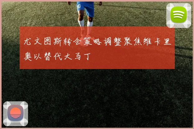 尤文图斯转会策略调整聚焦维卡里奥以替代大马丁